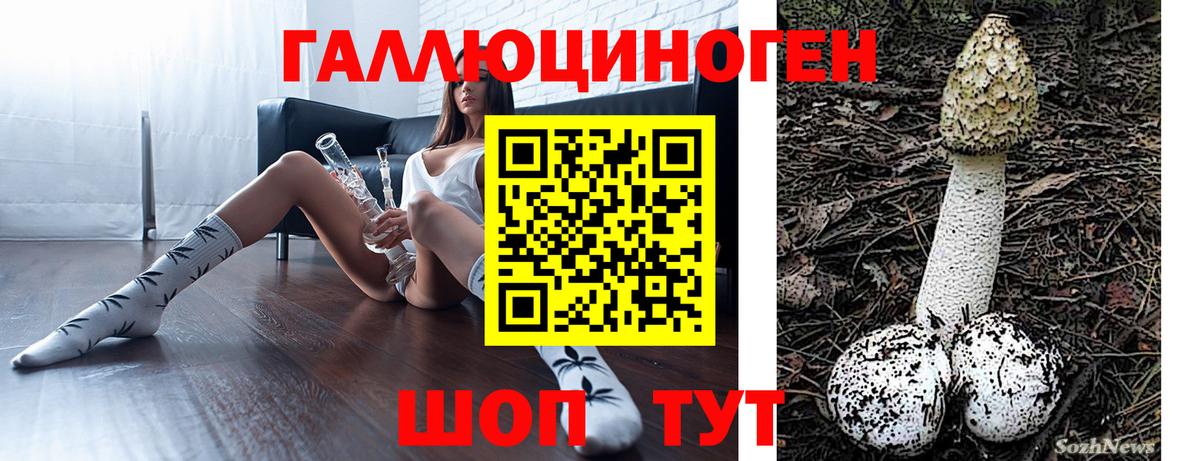 Псилоцибиновые грибы MAGIC MUSHROOMS Отрадный