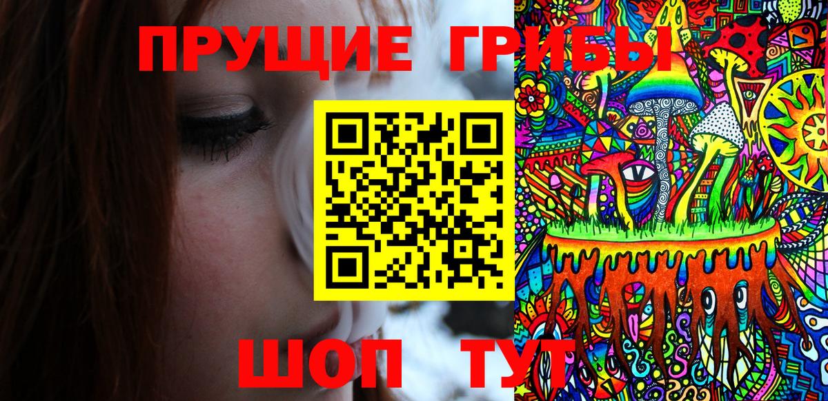 Отрадный  Псилоцибиновые грибы Magic Shrooms  Вход с VPN  где купить наркоту  Галлюциногенные грибы Psilocybine cubensis 